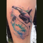 Watercolor killer whale